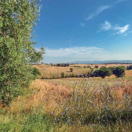 Seven-bedroom Holiday In Castiglione D.lago-pg- Prázdninový dům *